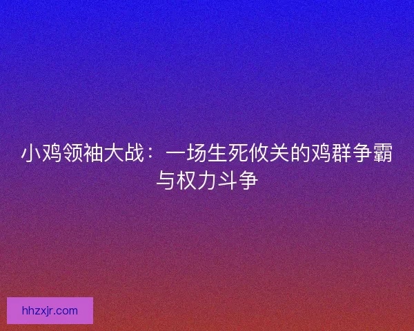 小鸡领袖大战：一场生死攸关的鸡群争霸与权力斗争