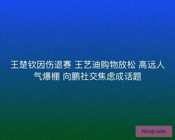 王楚钦因伤退赛 王艺迪购物放松 高远人气爆棚 向鹏社交焦虑成话题